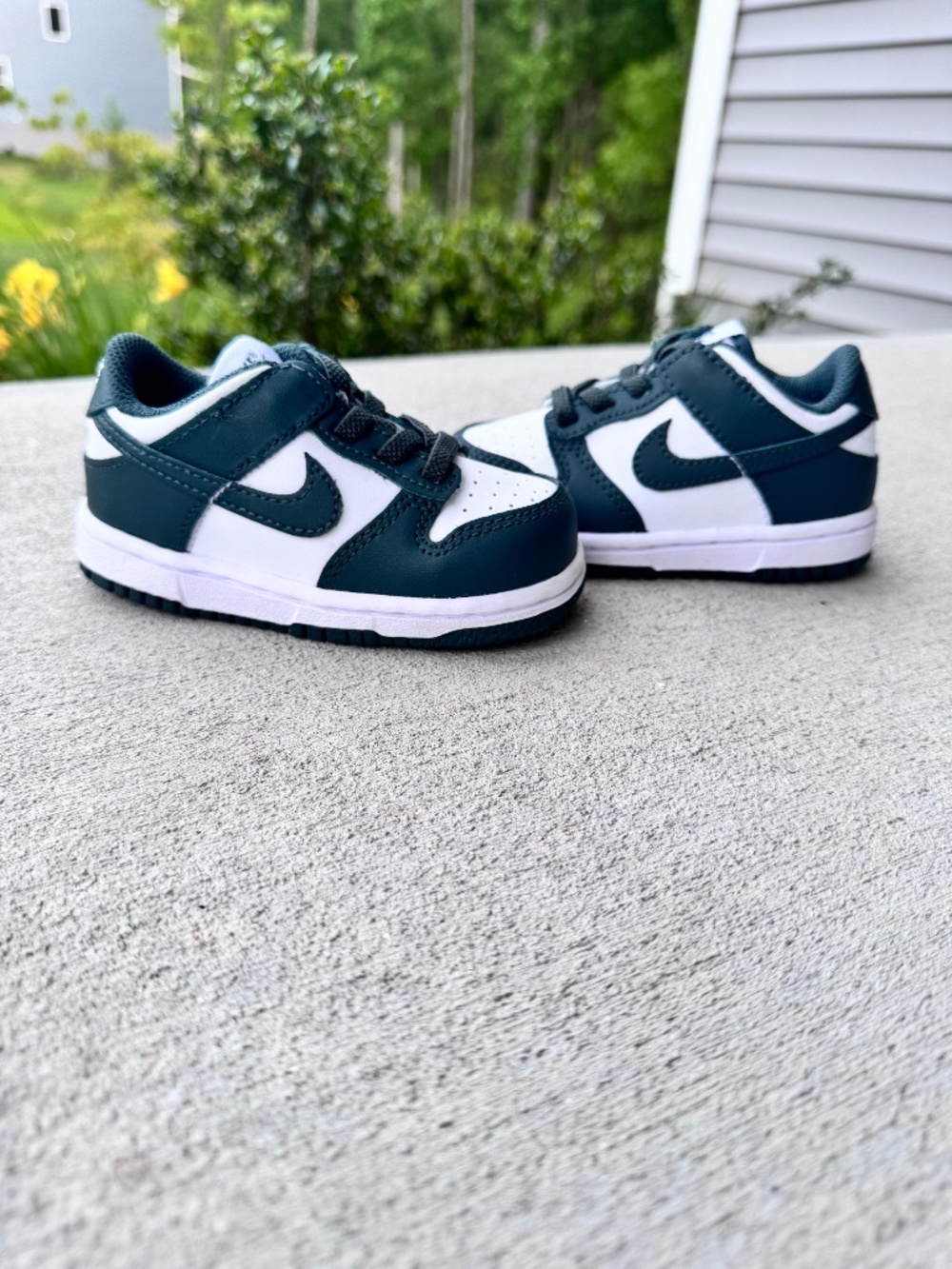Nike Dunk Low Baby Size 6c